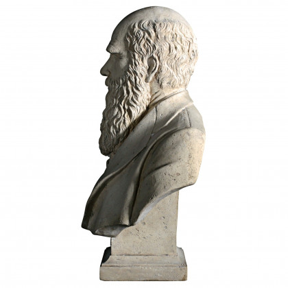 Toscano - Evolution of Charles Darwin Sculptural Bust