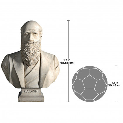 Toscano - Evolution of Charles Darwin Sculptural Bust