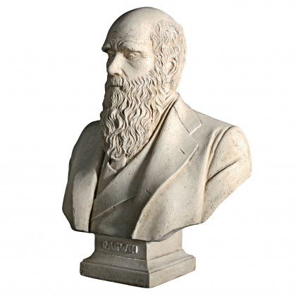 Toscano - Evolution of Charles Darwin Sculptural Bust