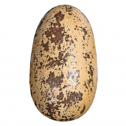 Toscano - Early Jurassic Theropoda Dinosaur Egg Fossil Statue