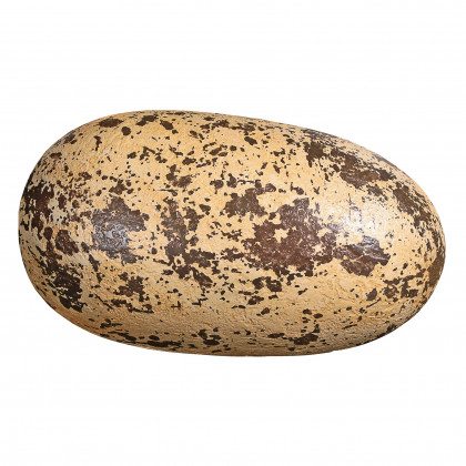 Toscano - Early Jurassic Theropoda Dinosaur Egg Fossil Statue