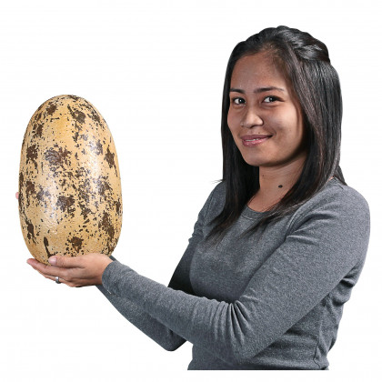 Toscano - Early Jurassic Theropoda Dinosaur Egg Fossil Statue