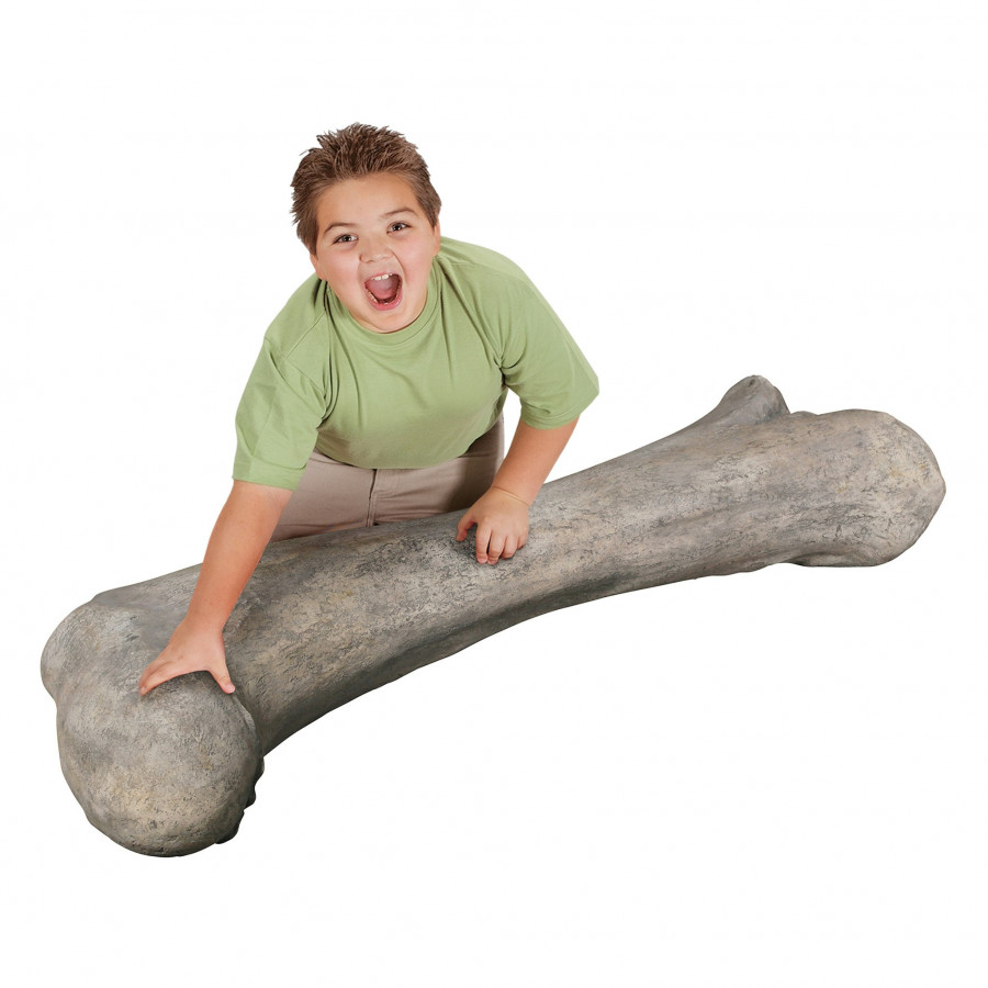 Toscano - Apatosaurus Femur Bone Fossil Statue