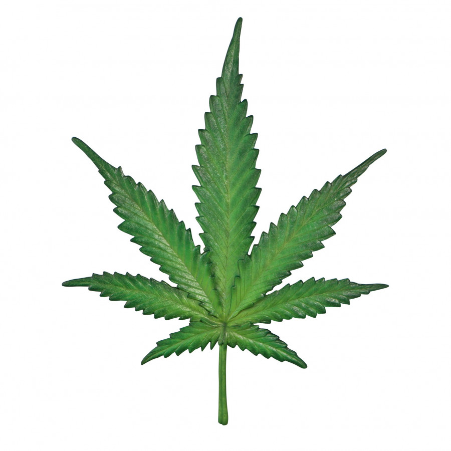 Toscano - Marijuana Leaf Cannabis Wall Sculpture