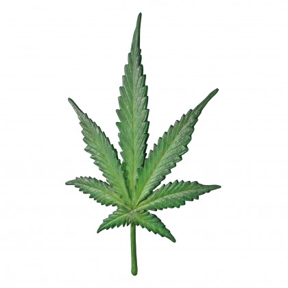 Toscano - Marijuana Leaf Cannabis Wall Sculpture