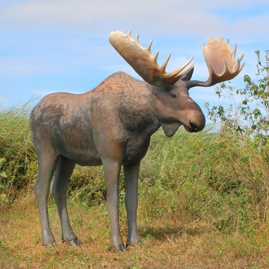 Toscano - North American Majestic Moose Full Scale Animal Statue