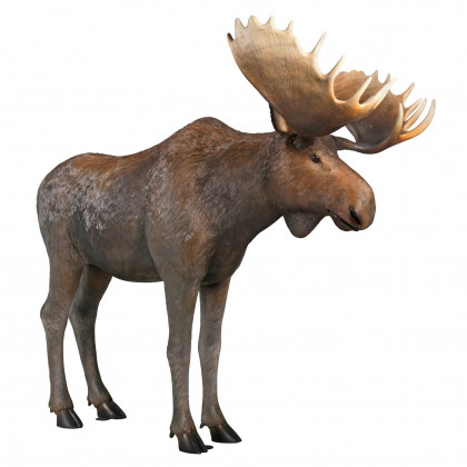 Toscano - North American Majestic Moose Full Scale Animal Statue