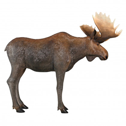 Toscano - North American Majestic Moose Full Scale Animal Statue