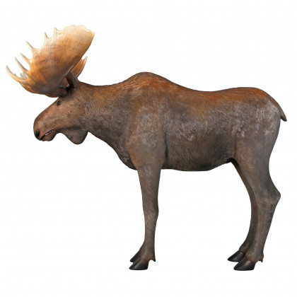 Toscano - North American Majestic Moose Full Scale Animal Statue