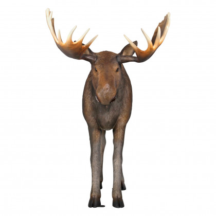 Toscano - North American Majestic Moose Full Scale Animal Statue