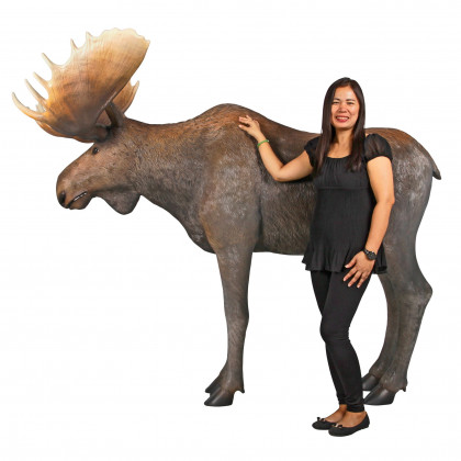 Toscano - North American Majestic Moose Full Scale Animal Statue