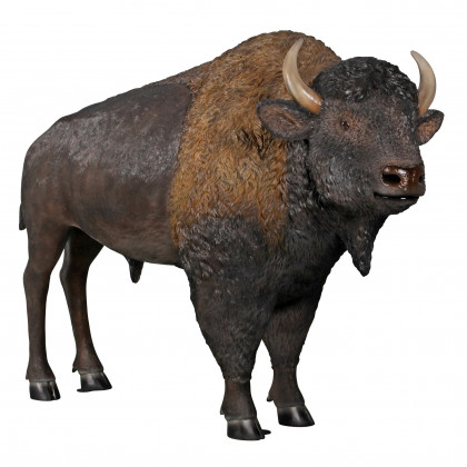 Toscano - Large Scale Buffalo of the Great Plains Statue