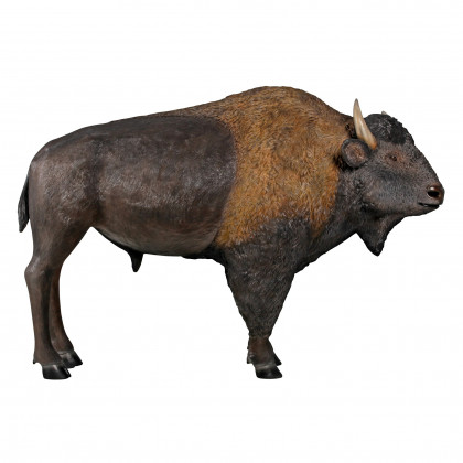 Toscano - Large Scale Buffalo of the Great Plains Statue