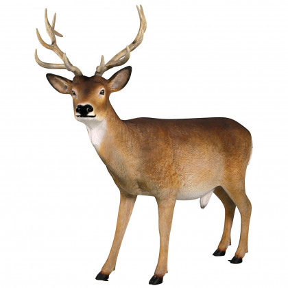 Toscano - Forest White Tailed BuckMale Deer Statue