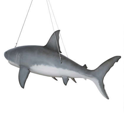 Toscano - Great White Shark Ceiling Mount Trophy Statue