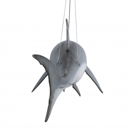 Toscano - Great White Shark Ceiling Mount Trophy Statue