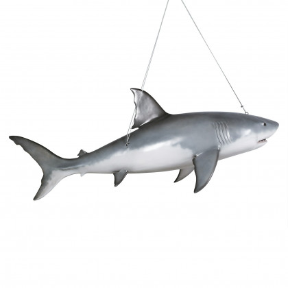 Toscano - Great White Shark Ceiling Mount Trophy Statue