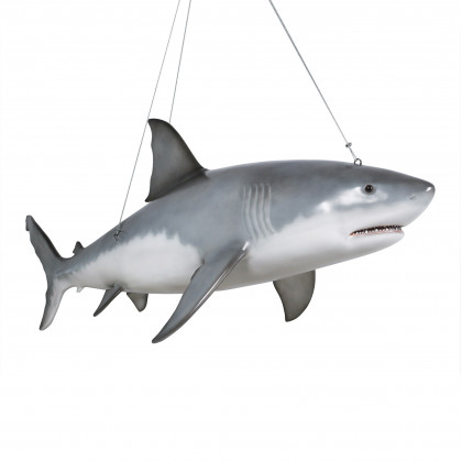 Toscano - Great White Shark Ceiling Mount Trophy Statue