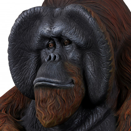 Toscano - Male Bornean Orangutan Great Ape Statue
