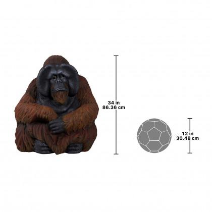 Toscano - Male Bornean Orangutan Great Ape Statue