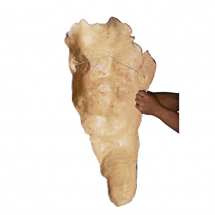 Toscano - Alexander the Great Torso Wall Sculpture