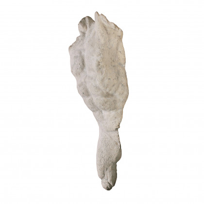 Toscano - Alexander the Great Torso Wall Sculpture