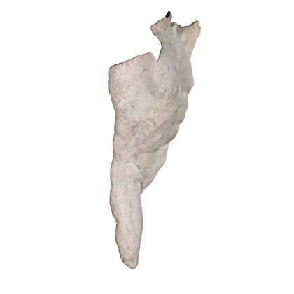 Toscano - Alexander the Great Torso Wall Sculpture