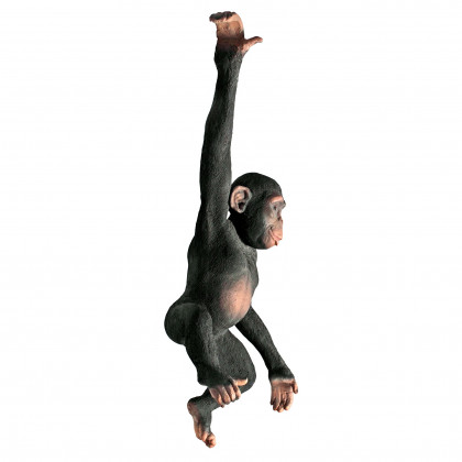 Toscano - Hanging Chimp Jungle Monkey Statue
