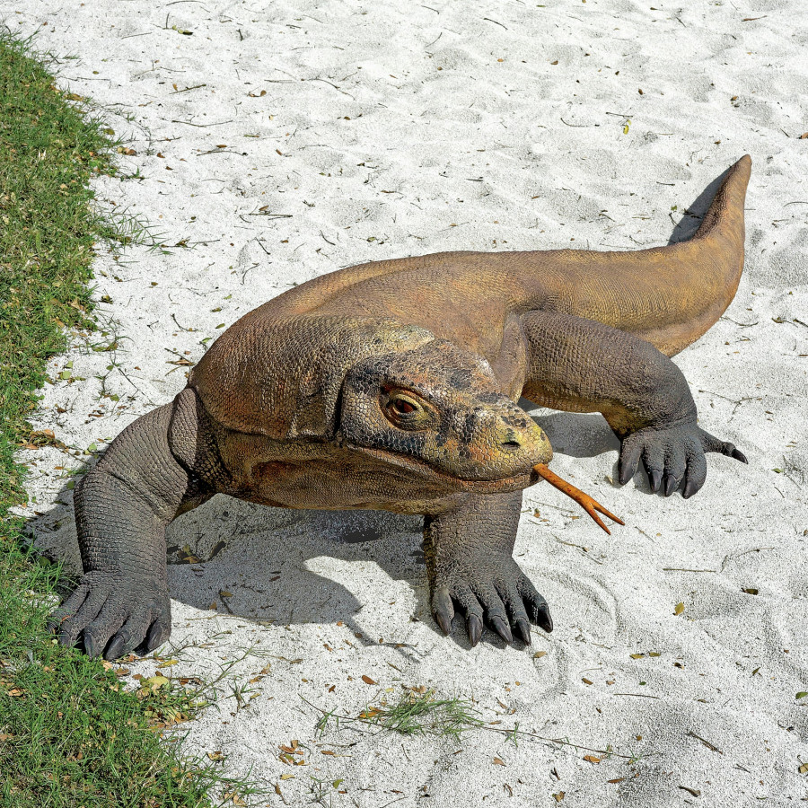 Toscano - Grande-Scale Komodo Dragon Statue