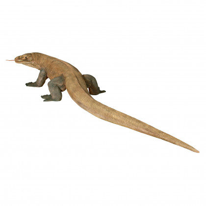 Toscano Grande-Scale Komodo Dragon Statue - Grande