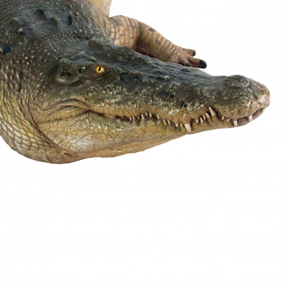 Toscano - Tropical Wetlands Crocodile Statue