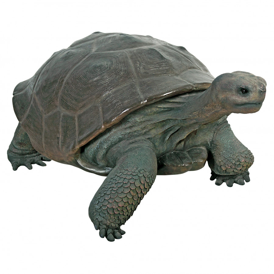 Toscano - The Galapagos Tortoise Grand-Scale Turtle Statue
