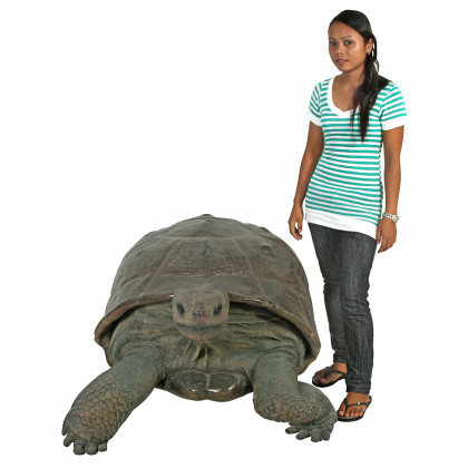 Toscano - The Galapagos Tortoise Grand-Scale Turtle Statue