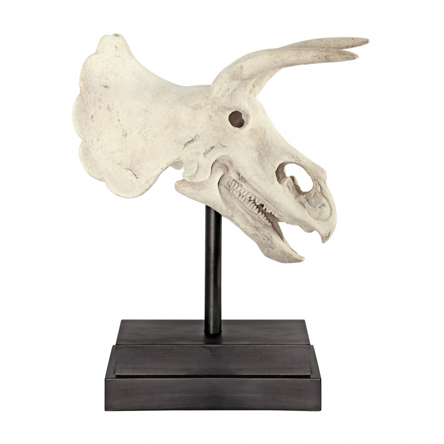 Toscano - Triceratops Dinosaur Skull Fossil Statue on Museum Mount
