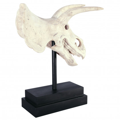 Toscano - Triceratops Dinosaur Skull Fossil Statue on Museum Mount