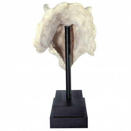 Toscano - Triceratops Dinosaur Skull Fossil Statue on Museum Mount