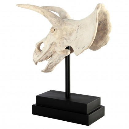 Toscano - Triceratops Dinosaur Skull Fossil Statue on Museum Mount