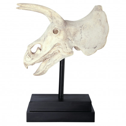 Toscano - Triceratops Dinosaur Skull Fossil Statue on Museum Mount