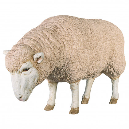 Toscano Merino Ewe Life-Size Sheep Statue - Head Down