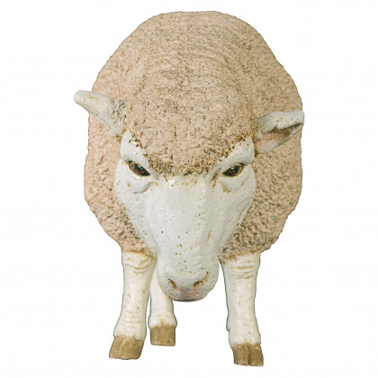 Toscano Merino Ewe Life-Size Sheep Statue - Head Down