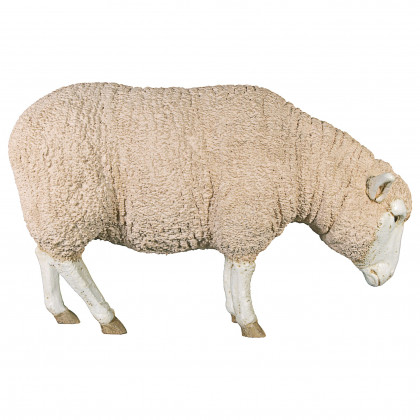 Toscano Merino Ewe Life-Size Sheep Statue - Head Down