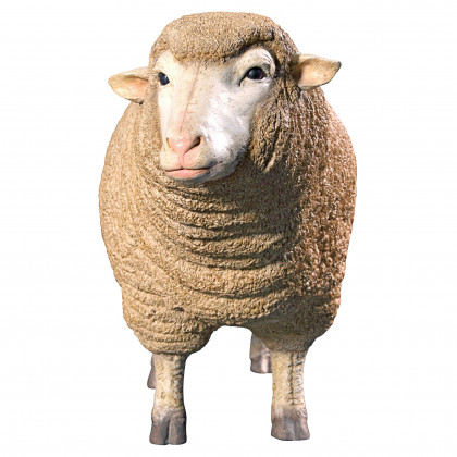 Toscano Merino Ewe Life-Size Sheep Statue - Head Up