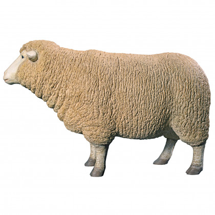 Toscano Merino Ewe Life-Size Sheep Statue - Head Up