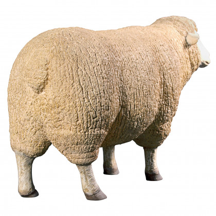 Toscano Merino Ewe Life-Size Sheep Statue - Head Up