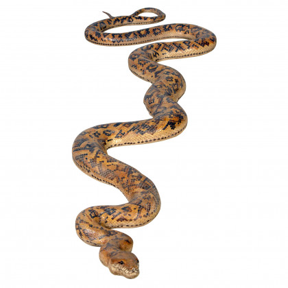 Toscano - Giant Burmese Python Snake Statue