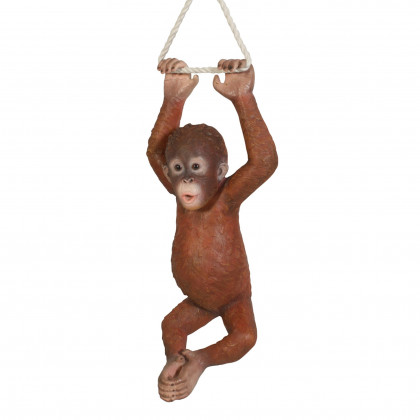 Toscano - Pongo the Hanging Baby Orangutan Statue