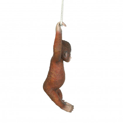 Toscano - Pongo the Hanging Baby Orangutan Statue