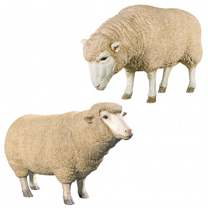 Toscano - Set of 2 Merino Ewes Life-Size Sheep Statues