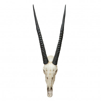 Toscano - Gemsbok African Wall Trophy