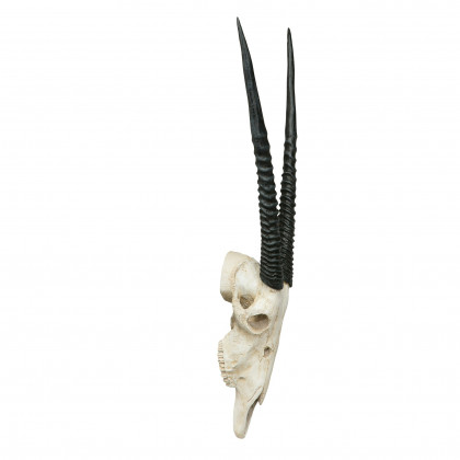 Toscano - Gemsbok African Wall Trophy